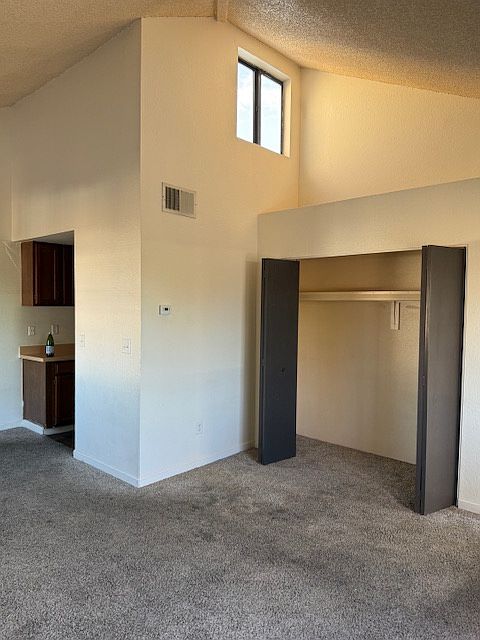 Beautiful vaulted ceilings in large living room