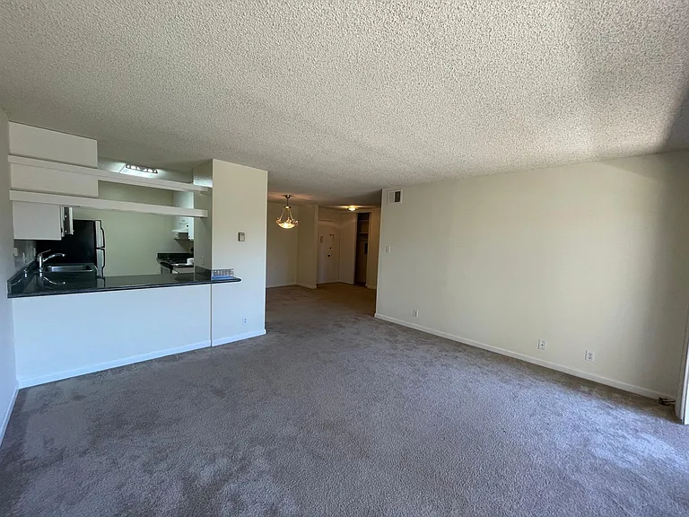 1101 Continentals Way #310 — Photo 5