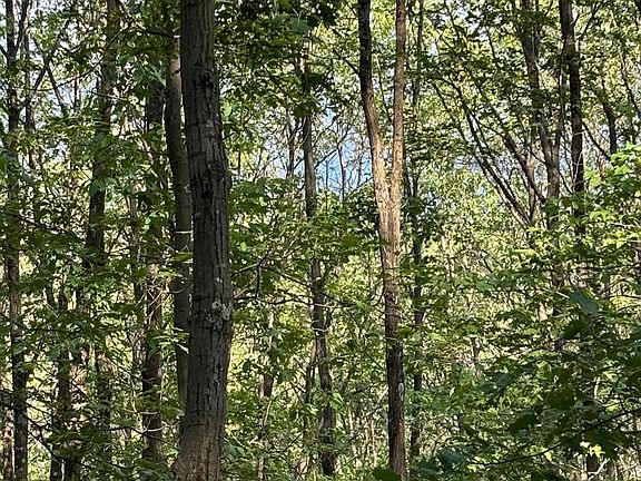 5th image of 699 Chickloon Ln