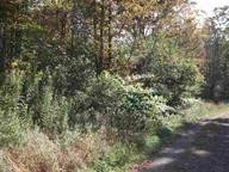 2nd image of 0 ARMLIN Road
