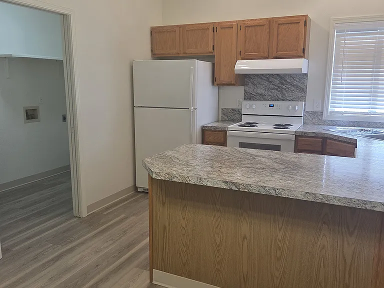 920 Cove Arm Cir — Photo 5