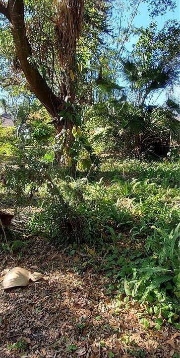 1st image of 5875 Tomoka Dr