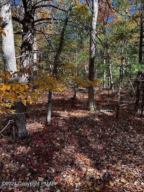 1st image of LOT 34 Pocono Forested Dr