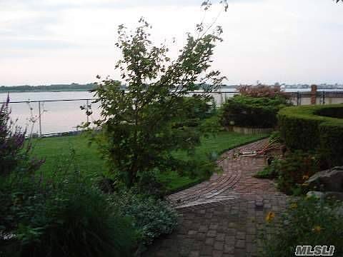 Mature Trees and Shrubs