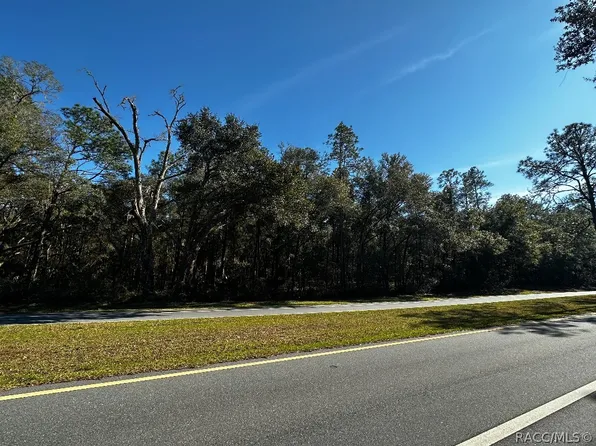 11087 N Citrus Springs Blvd, Citrus Springs, FL 34434