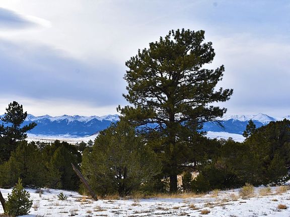 4th image of 799 County Road 260