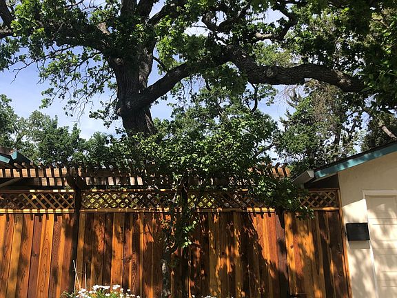 3rd image of 438 Bonita Ave