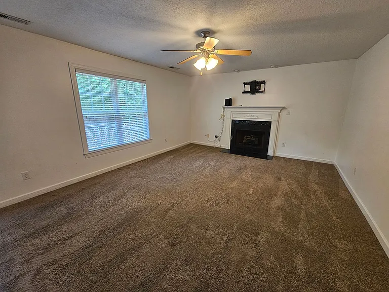 208 Burning Tree Ln — Photo 8