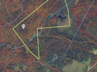 Bull Run Rd, Ellenburg Depot, NY 12935