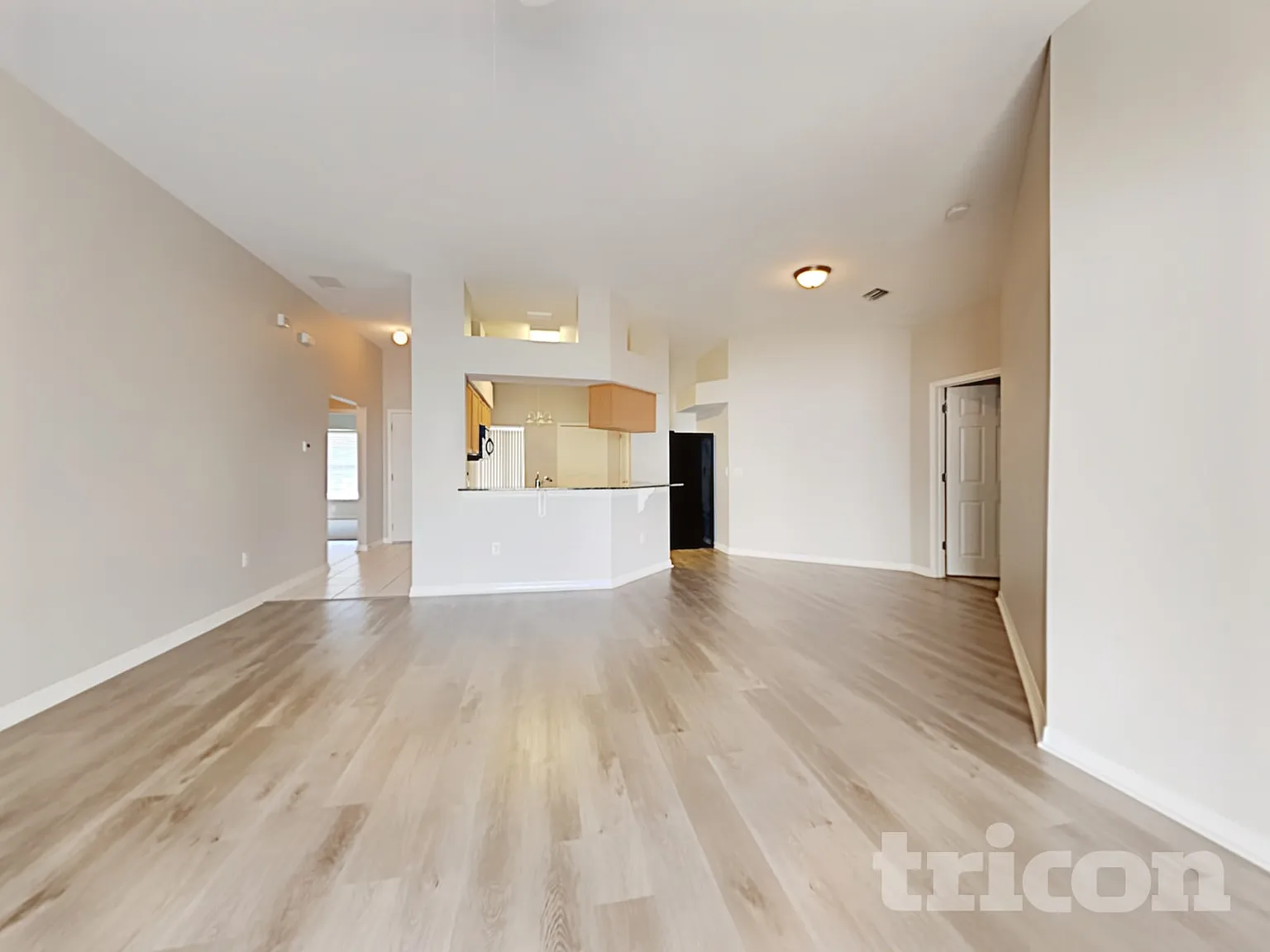 12010 Hampshire Field Court Riverview FL — Photo 4