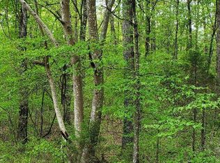 0 Press Pickett Rd, Whitwell, TN 37397