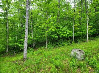 0 County Road 24 Lot 1, Swain, NY