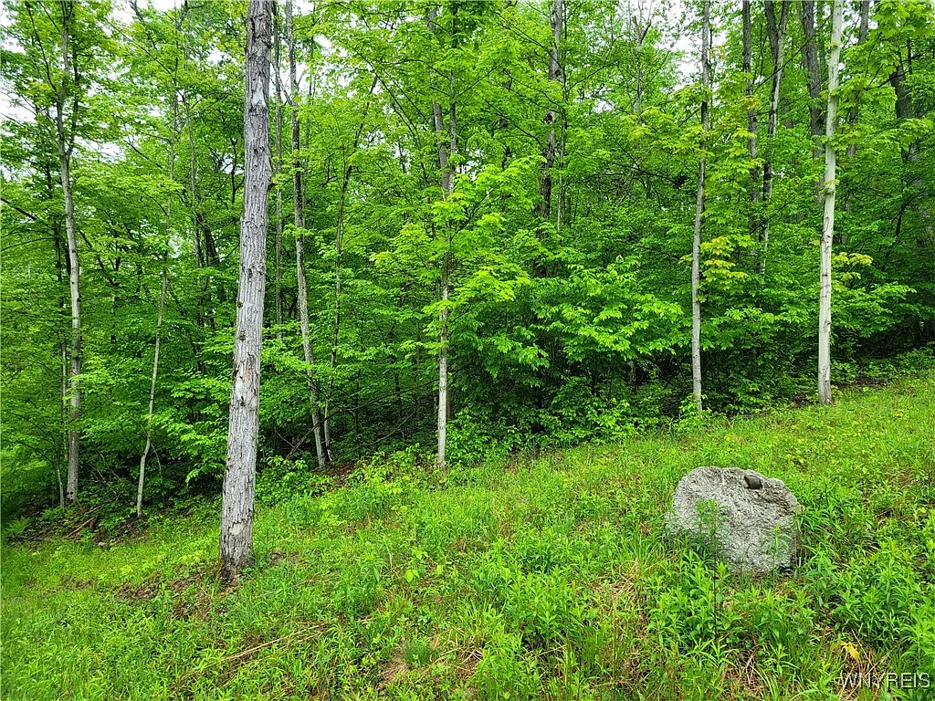 0 County Road 24 Lot 1 photo 1