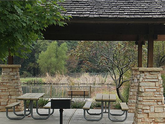 Neighborhood park and pond