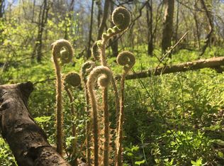 0 Rutherford Ln LOT 146, Smithville, TN 37166