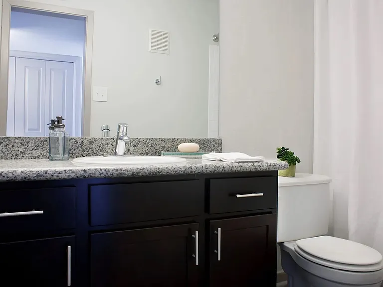Bathroom | Trailpoint Apartments at The Woodlands