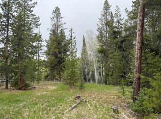 33435 Filly Trail, Oak Creek, CO 80467