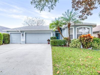 2911 Hickory Grove Dr, Valrico, FL, 33596