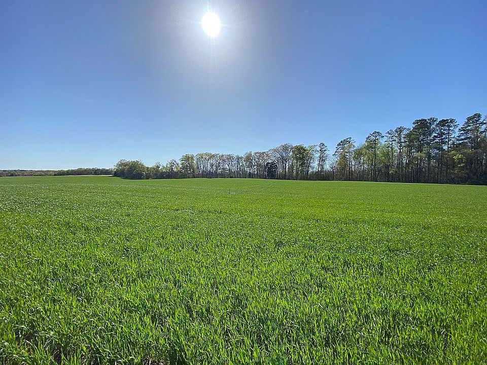 Sprawling Landscapes