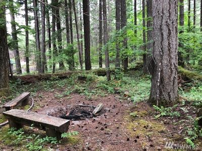 4 Cowlitz View Dr LOT 4, Packwood, WA, 98361