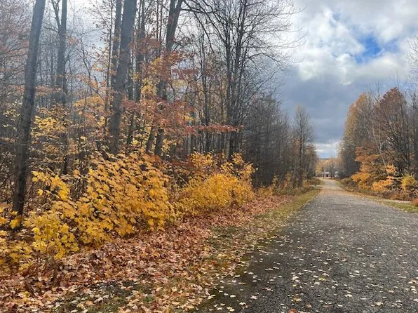 LOT 74 Terreton Cir, Elmira, MI 49730