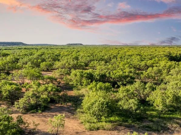 2186 Fm 1028, Rochelle, TX 76872