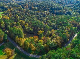 1047 Chestnut Gap Rd, Epworth, GA 30541