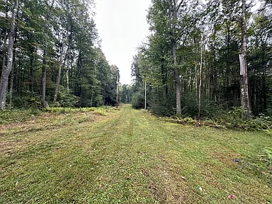 Property photo 39
