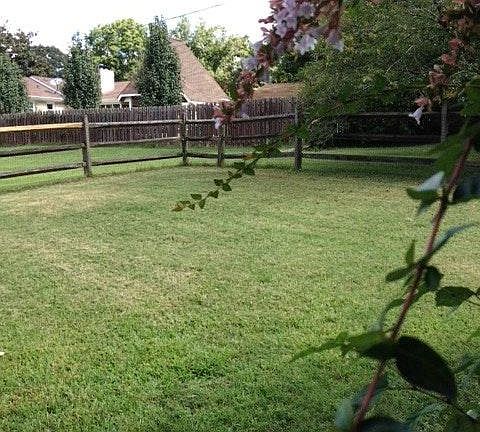 fenced back yard with large shed