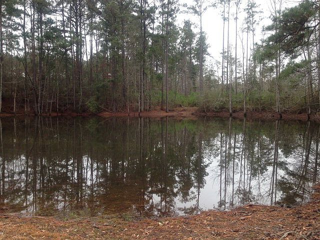 1st image of Xxxx Rollingwood Dr