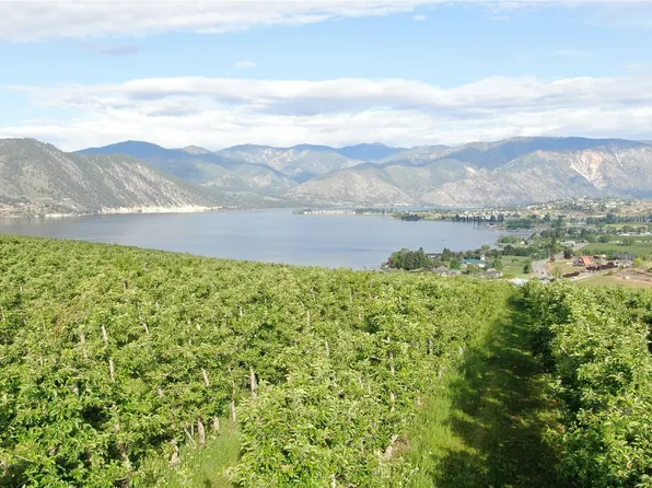 0 xxx Winesap Avenue, Manson, WA 98831