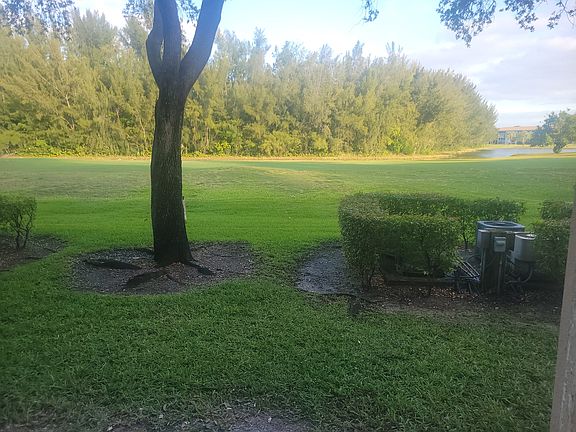 Gorgeous view from back terrace