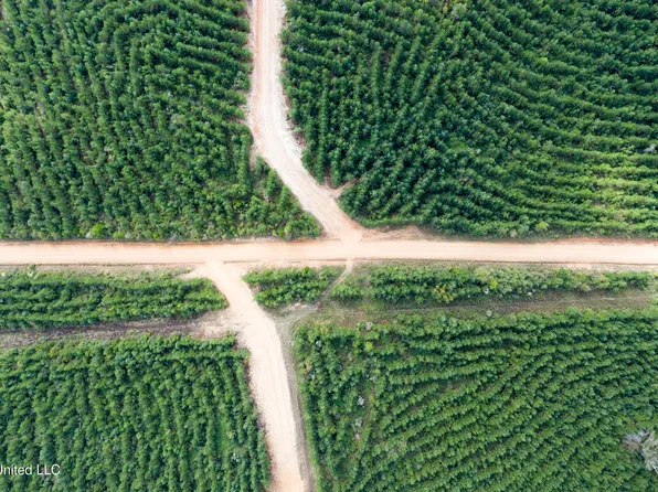 10 Attala Rd Lot 2983, Mc Cool, MS 39108