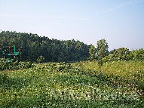 2nd image of Imlay City Rd