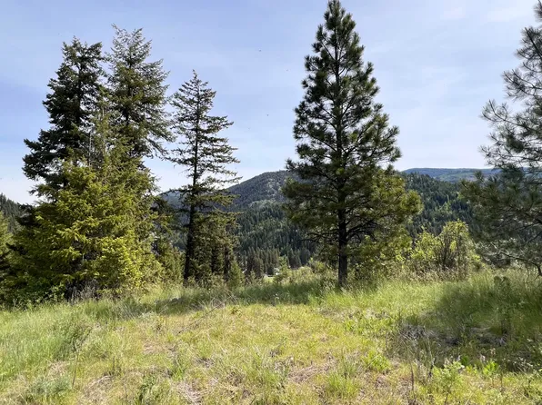 0 Yellow Pne, Kettle Falls, WA 99141