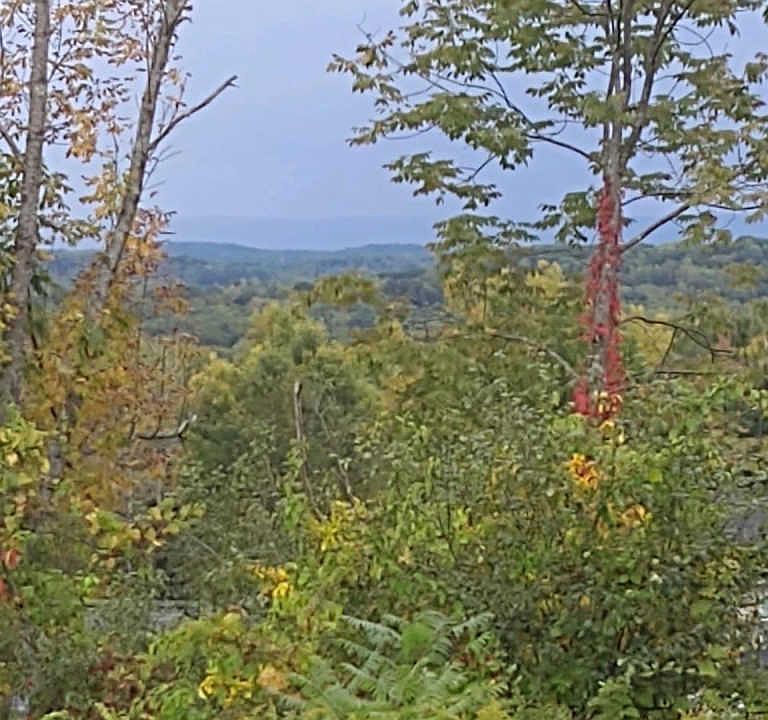 2nd image of 14 Morgan Ct Lot 35
