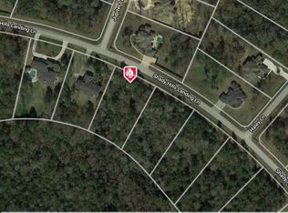 27398 Shady Hills Landing Ln, Spring, TX 77386