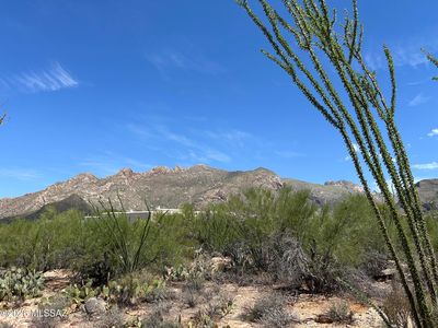 1458 E Desert Garden Dr #142, Tucson, AZ, 85718