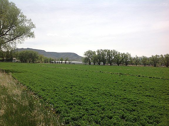 4th image of 15998 County Road 20