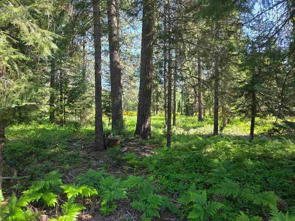 LOT 73 Old Mill Dr, McCloud, CA 96057