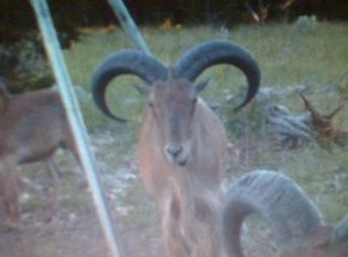 204 Sd #23010, Rocksprings, TX 78880