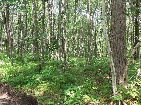 5th image of Lot 1 Birch Tree Trail