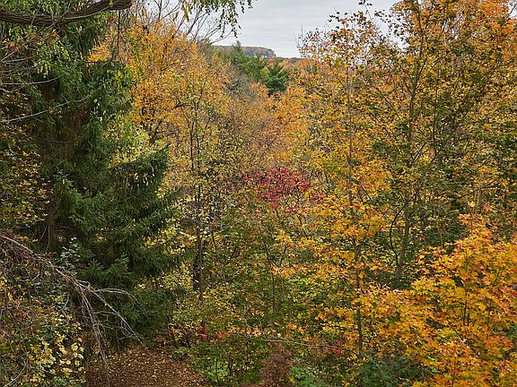 2nd image of 7095 Guelph Line