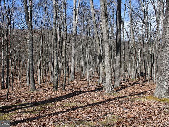 3rd image of Sideling Mountain Trl