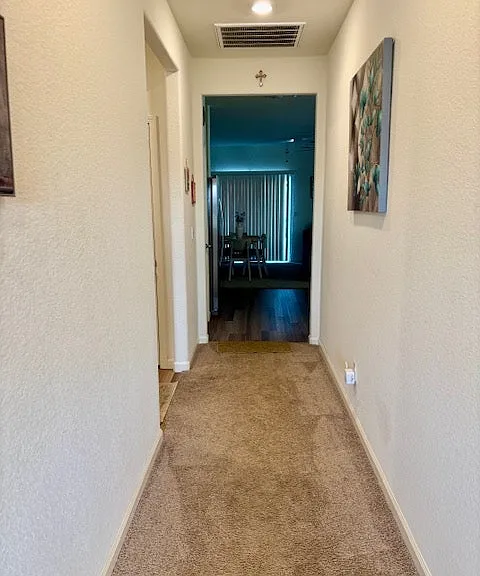 10424 Skynyrd Way — Photo 7