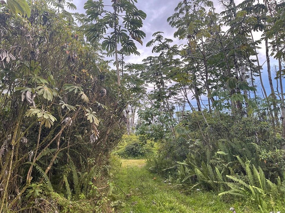 1st image of Hibiscus Dr Lot 61
