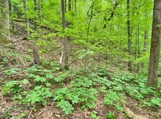 0 Old River Rd #243AC, Dahlonega, GA 30533