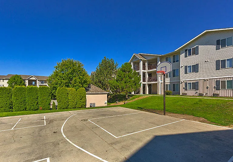 Basketball Court