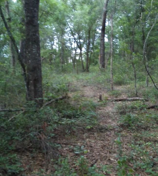 1st image of 0 Corner Of Coweta Rd And Dogwood Dr