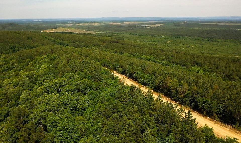 1st image of 49 Virginia Pine Pl Lot 49